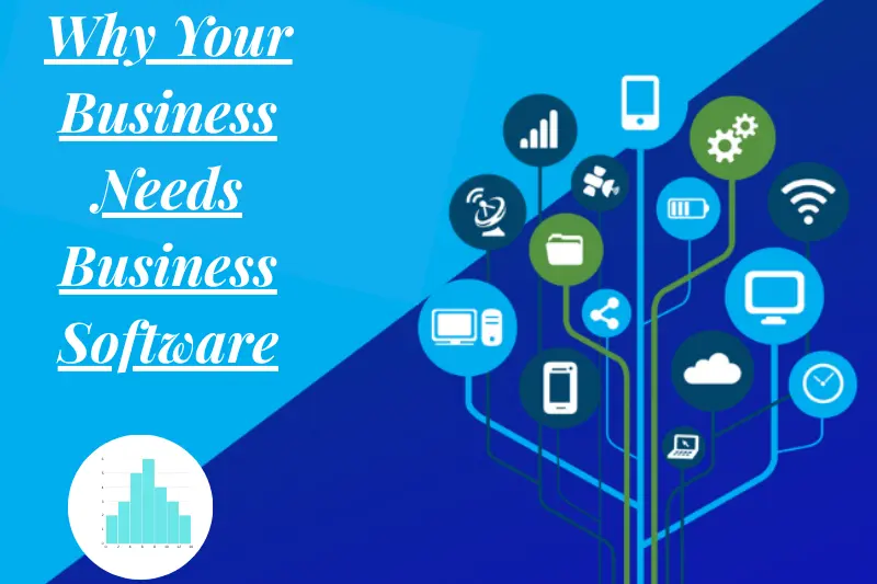 why your business needs business software