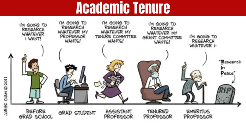 academic tenure