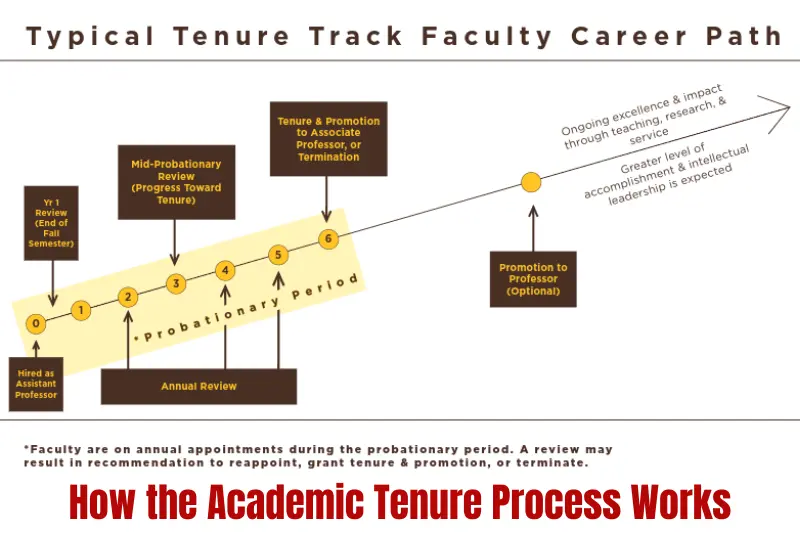 how the academic tenure process works