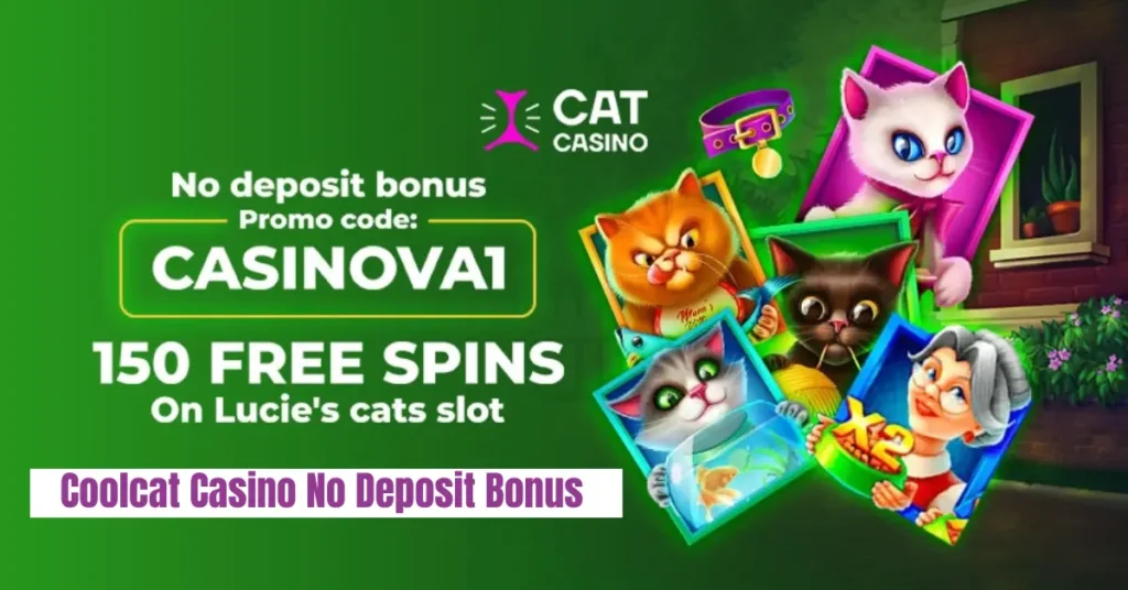 coolcat casino no deposit bonus