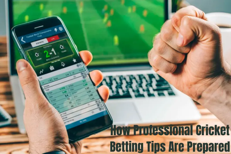 how professional cricket betting tips are prepared